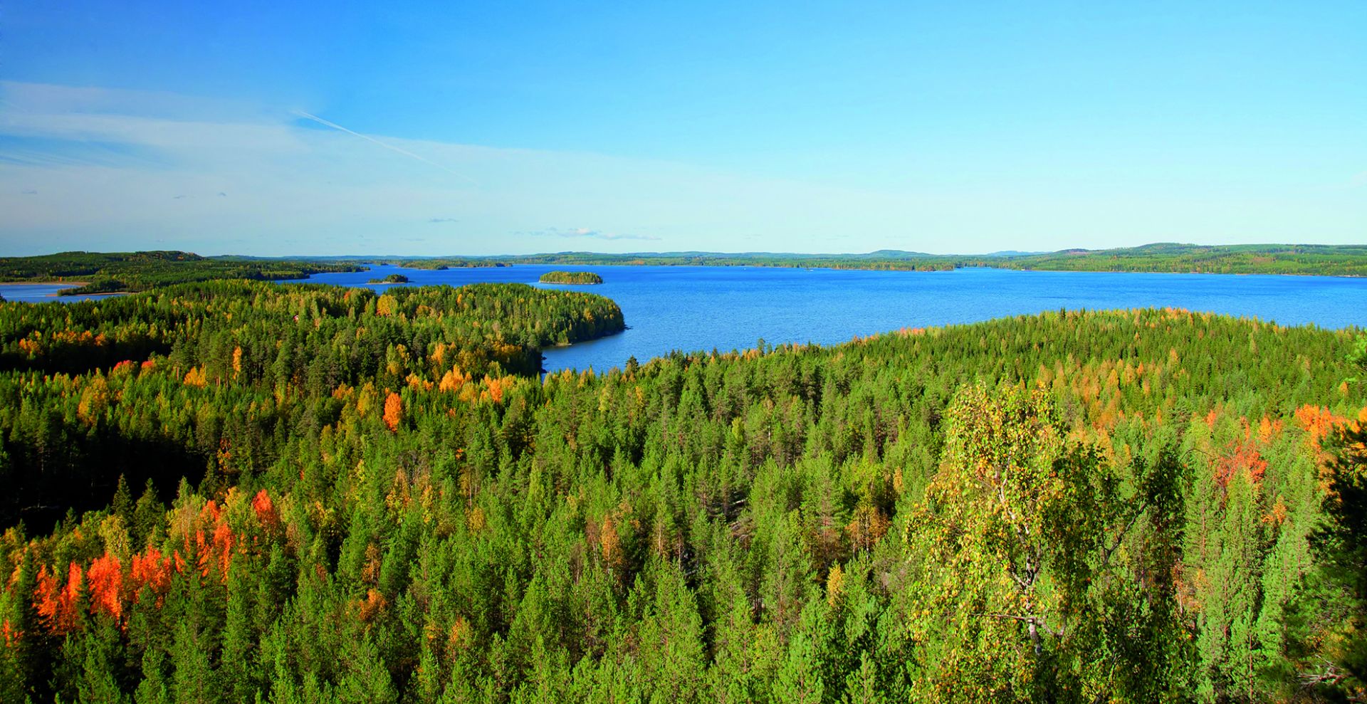 metsä- ja järvimaisema ylhäältä päin kuvattuna