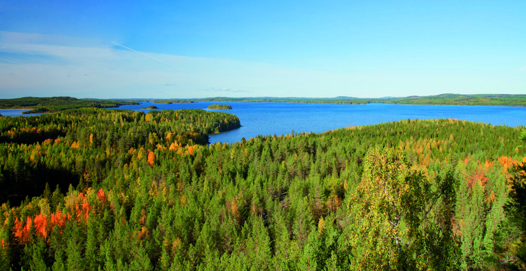 metsä- ja järvimaisema ylhäältä päin kuvattuna